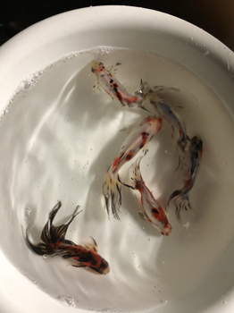 5E27DB1C-39B4-4B65-812A-C4A0ECBDB57C.jpg